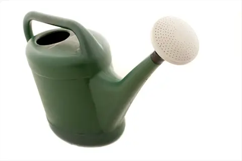 green plastic gardening watering can with fine rose sprinkler head on white background