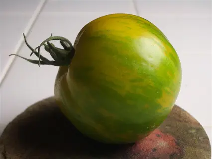 green zebra tomato with yellow stripes on a wooden surface