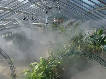 greenhouse fogging system with high-pressure misters creating fine fog over tropical plants in a glass-enclosed humid environment