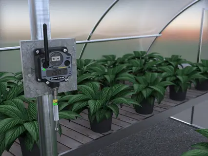 greenhouse humidity sensor (banner brand) mounted on post showing 28.0°c reading among potted plants in high-tunnel greenhouse
