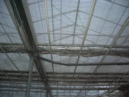 greenhouse thermal screen mounted beneath roof beams for climate control and insulation