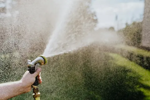 hand holding a spraying water plant hose for garden irrigation in sunny outdoor setting