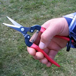 hand holding micro tip pruning snips (red handles, black accents, spring mechanism) against grassy background with checkered shirt sleeve
