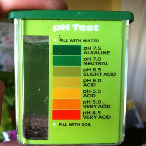 hand holding soil ph test kit with color gradient chart for garden analysis (4.5-7.5 ph range), showing testing compartments and plant background