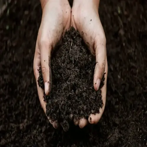 hands holding nutrient-rich healthy dark soil for gardening