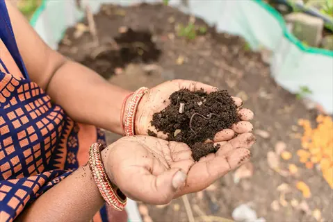 hands holding nutrient-rich soil for fertilizing vegetable garden with garden background