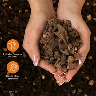hands holding orchid bark potting mix with nutrient (ca, zn, mg) and immunity boost icons; veryplants branding