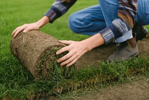 hands installing rolled residential lawn grass seed turf on a prepared lawn