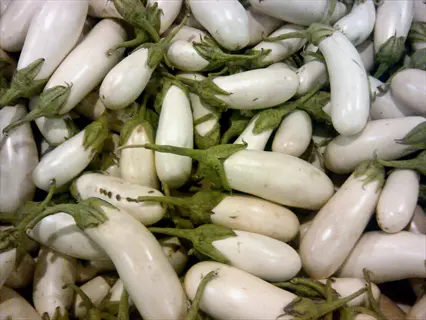 harvest of white eggplants (gretel variety) with green stems in bulk