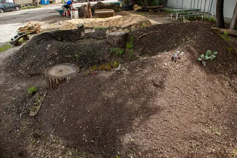 hugelkultur implementation: raised garden beds formed by mounding soil over logs and tree stumps in an urban setting