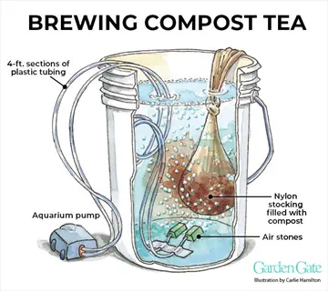 illustration of brewing compost tea setup: bucket with aquarium pump, air stones, and nylon stocking filled with compost. labeled components and garden gate credit