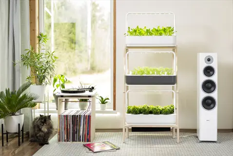indoor smart garden with three-tiered hydroponic system growing young plants, surrounded by home decor, a cat, and record player near sunlit window