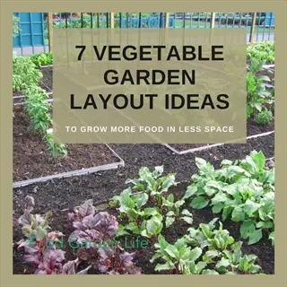 infographic: 7 vegetable garden layout ideas with garden beds and plants, text overlay 'to grow more food in less space'