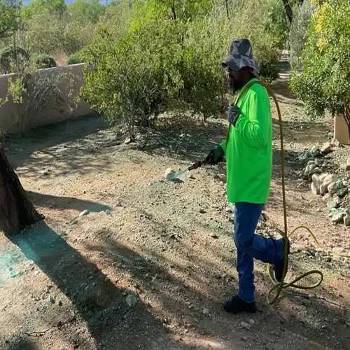 invasive plant removal worker in bright green shirt spraying vegetation with hose in arid outdoor area with sparse ground cover and shrubs