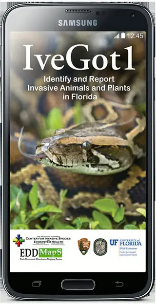 ivegot1 mobile app for invasive species reporting in florida - citizen science tool connecting to call center invasive species response system, displaying python