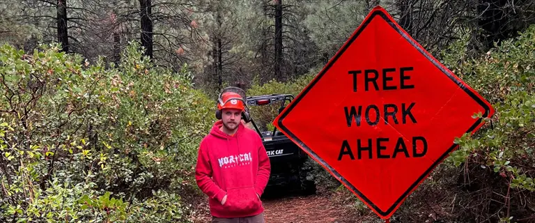 land manager planning tree removal operations near 'tree work ahead' sign in forested area