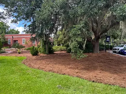 landscaped garden with pine bark mulch gardening, featuring live oak trees, brick building, and manicured lawns