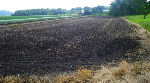 large agricultural field with rich dark humus soil, freshly tilled and surrounded by trees and cultivated plots