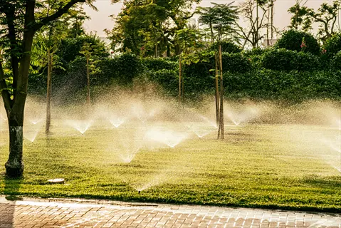 lawn sprinkler early morning: multiple sprinklers watering a lush green park during cooler hours, demonstrating water conservation