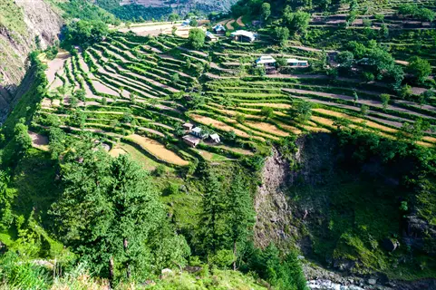 layered agricultural terraces on mountain slopes with cultivated fields, trees, and rural structures