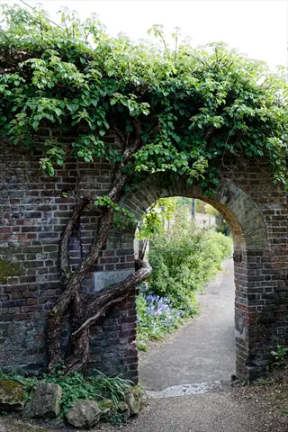 lush climbing hydrangea covers a weathered brick archway leading to a garden path