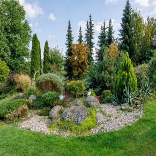 lush evergreen shrubs garden with varied trees, mossy rocks, and gravel paths under a partly cloudy sky