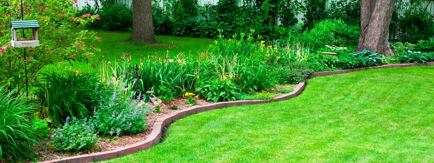 lush floratam grass lawn bordered by vibrant flower beds, trees, and a decorative birdhouse under sunny skies