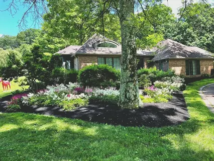 lush garden bed with dark mulch insulating soil around flowering plants and trees in shaded residential yard