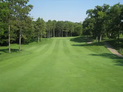 lush green golf course fairway stretching toward horizon, flanked by trees under clear blue sky