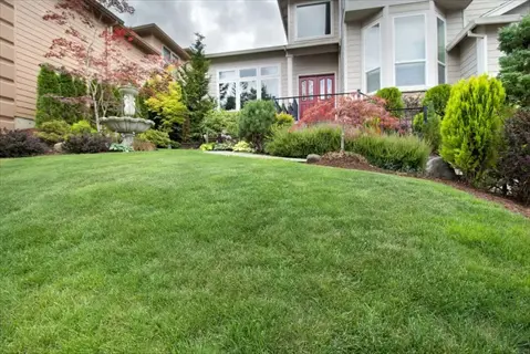 lush green ryegrass home lawn with ornamental shrubs, stone fountain, and residential house facade under cloudy sky