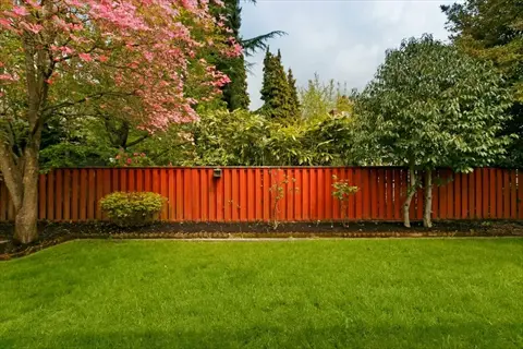 lush red fescue grass lawn in a backyard with a red fence, flowering trees, and shrubs under a partly cloudy sky