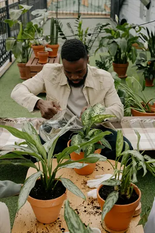 man watering potted plants on a balcony with greenery around