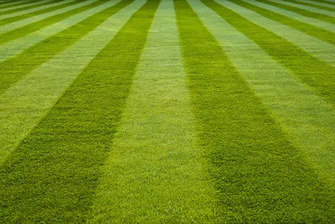 manicured lawn stripes showing alternating light and dark green grass patterns