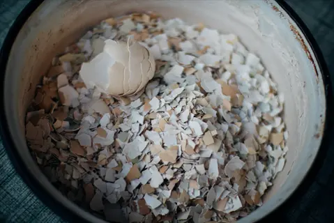 metal bowl filled with organic crushed eggshells showing varied fragment sizes and natural color tones
