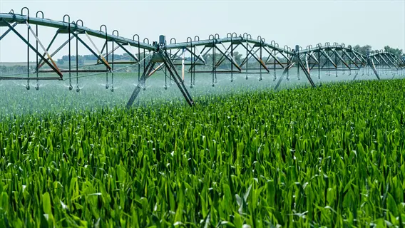 modern center-pivot irrigation system with water sprinklers irrigating a lush green crop field under a clear sky