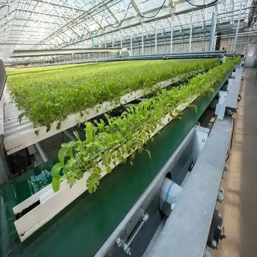 modern greenhouse climate system with automated plant conveyor belts growing lush green crops under controlled environmental conditions