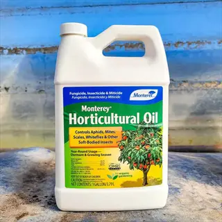 monterey horticultural oil 1-gallon bottle for garden pest control - organic solution targeting aphids, mites, scales and soft-bodied insects