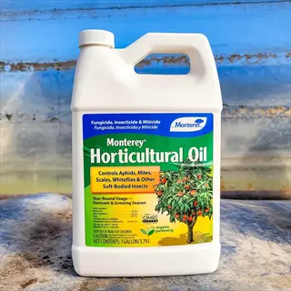 monterey horticultural oil bottle, controls aphids, mites, scales, and other soft-bodied insects, suitable for year-round use