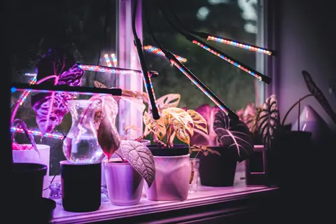 multiple magnetic grow lights illuminating various potted plants on a windowsill