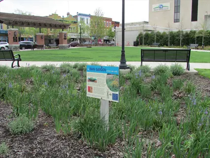native rain garden with educational sign in urban park, featuring irises, grasses, and stormwater management plants