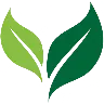 website logo