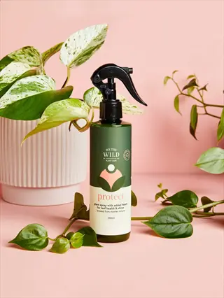 neem oil plant spray bottle labeled 'protect' from we the wild, surrounded by pothos plants and ivy against pink background