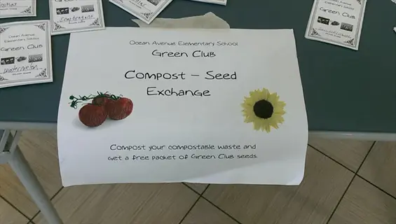 ocean avenue elementary school green club's compost-seed exchange sign with tomato and sunflower illustrations, surrounded by seed packets