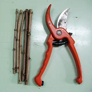 orange bypass pruning shears with cutting blade and several brown branches on light green surface