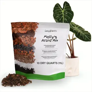 organic potting soil bag: veryplants molly's aroid mix with loose soil sample and potted alocasia plant
