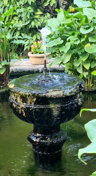 ornate stone fountain bird bath with flowing water jet, surrounded by lush green foliage