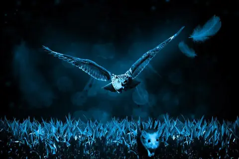 owl hunting a rodent in moonlit night field with tall grass and floating feathers. owl hunting night field