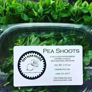 packaged pea shoots microgreens in clear container with 'tiny farm duluth' label showing harvest date june 23, 2017, and local grow details
