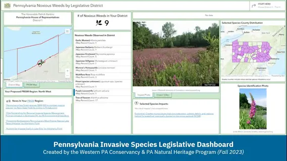 pennsylvania invasive species legislative dashboard: interactive display of noxious weeds by district with maps, species lists, habitat imagery, and legislative data