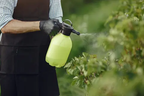 person in apron and gloves using a garden plant spray bottle to mist shrubbery in an outdoor garden
